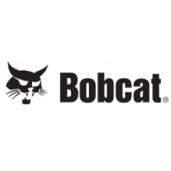 Bobcat