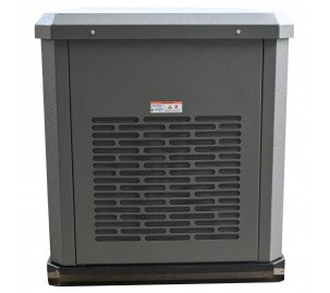 Генератор газовый EVOline GNG 13500 E