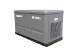 Генератор газовый EVOline GNG 13500 E