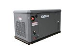 Генератор газовый EVOline GNG 13500 E
