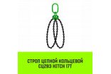 Строп цепной кольцевой 2СЦВЗ HITCH 17т