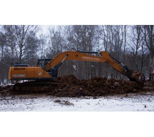 Гусеничный экскаватор Case CX220C NLC Гусеничный экскаватор Case CX220C NLC