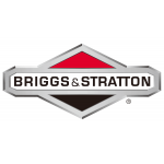 Briggs & Station