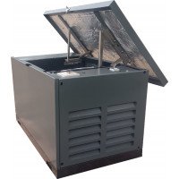 Газовый генератор Genese Standard 14000T Neva