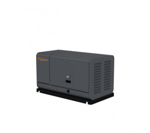 Газовый генератор Mitsui Power GM 10000