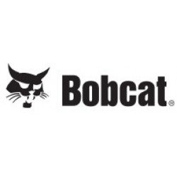 Bobcat